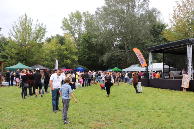 XIII Piknik Przyjaciół Schroniska w Toruniu. Fotorelacja z imprezy