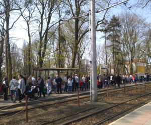 Pandy w Ogrodzie Zoobotanicznym w Toruniu