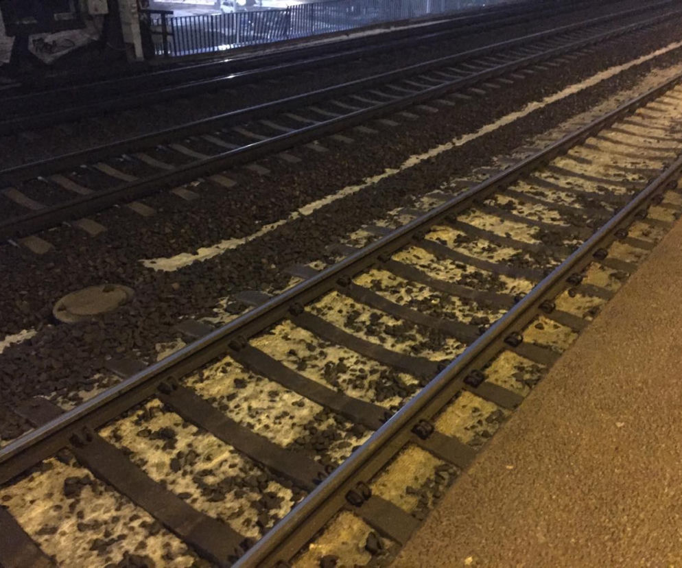 Trójmiasto: Tragedia na torach! Mężczyzna zginął pod kołami pociągu