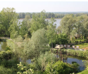 Zoo Płock