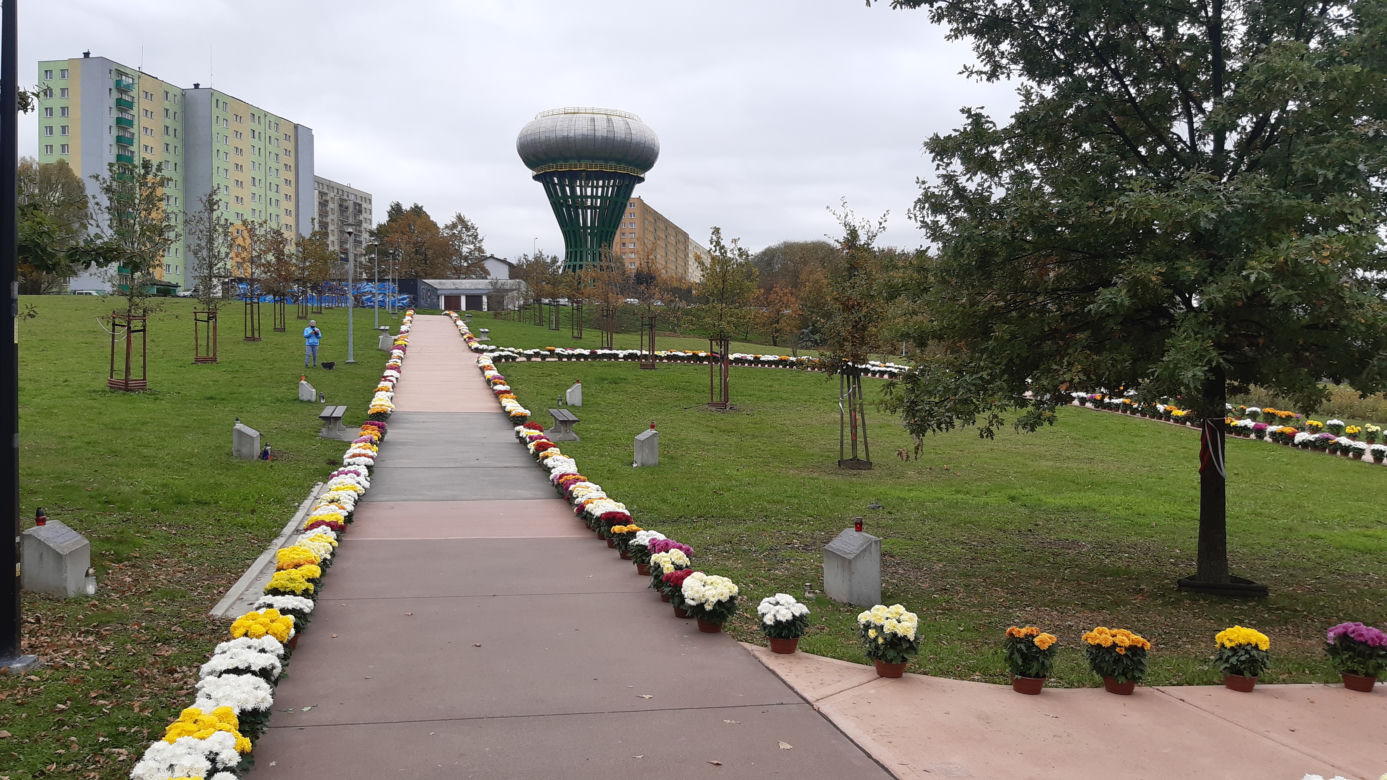 Dwa tysiące chryzantem ozdobiło park w Tarnowie