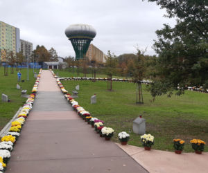 Dwa tysiące chryzantem ozdobiło park w Tarnowie