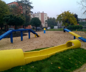 Dog Park 1