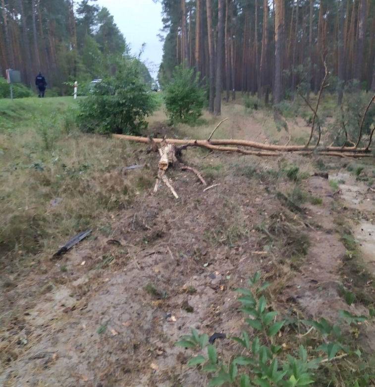 Lubelskie. BMW rozpadło się na kawałki. Przypadkowy kierowca odnalazł 28-latka. Koszmarny widok