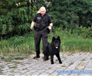 Policyjny pies wytropił sprawczynię wypadku