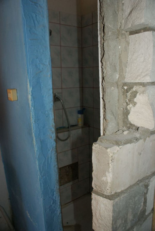 Zdjęcie 7392