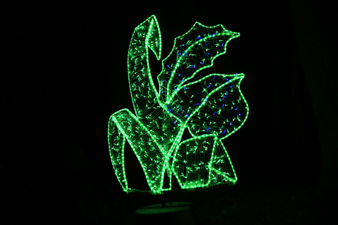 Park iluminacji „Tajemniczy Ogród” w Lublinie