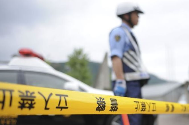 japońska policja, Japonia