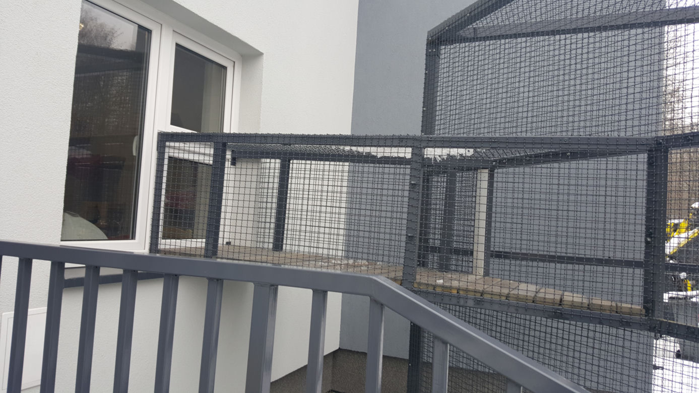 Sosnowieckie schronisko ma nową szczeniakarnię i kociarnię