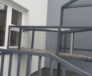 Sosnowieckie schronisko ma nową szczeniakarnię i kociarnię
