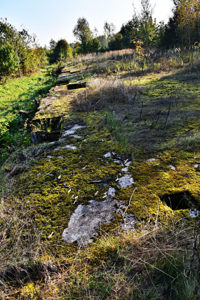 Tajemnicza podziemna hala w woj. warmińsko-mazurskim. Nikt nie wie, co tam się znajdowało