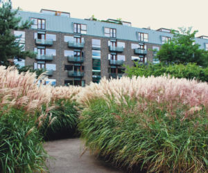 Charlottehaven, Kopenhaga