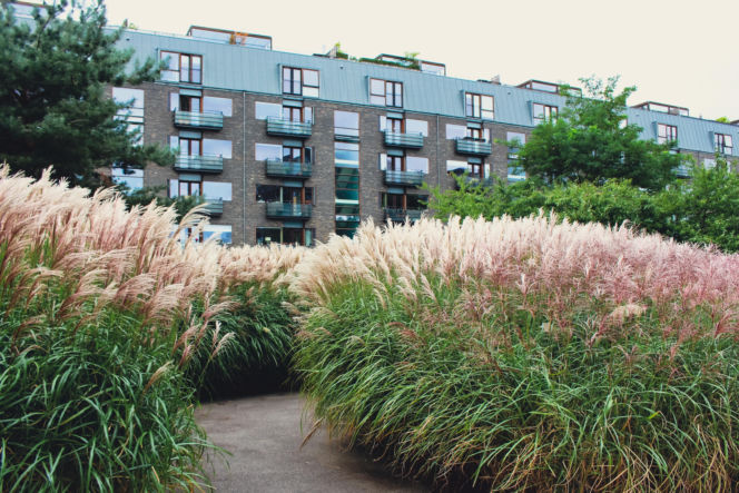 Charlottehaven, Kopenhaga