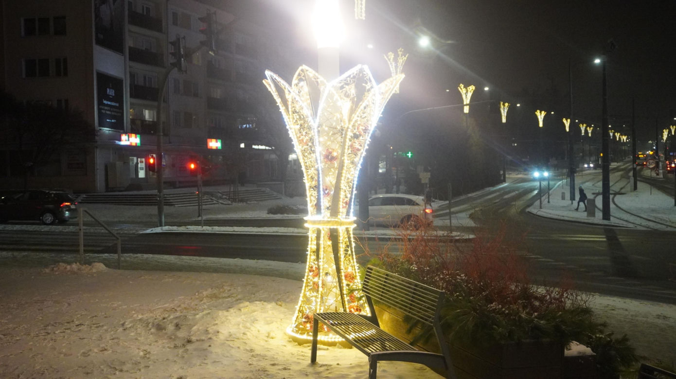Świąteczne iluminacje w Olsztynie zachwycają. Prawdziwą „gwiazdą” jest choinka na starówce [ZDJĘCIA]