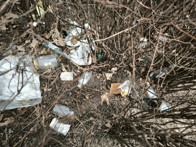 Śmietnisko przy "Alternatywie"