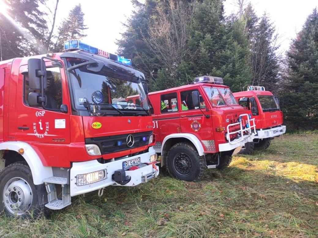 Wyrzucał popiół z kominka, ogniem zajął się hektar lasu w Baligrodzie [Zdjęcia]