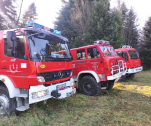 Wyrzucał popiół z kominka, ogniem zajął się hektar lasu w Baligrodzie [Zdjęcia]