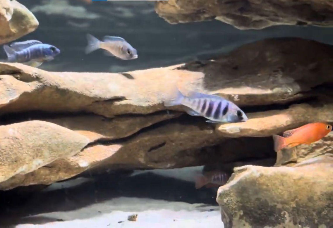 Rozmawiamy z Tomaszem Wiśniewskim, założycielem Aqua Dreams Bydgoszcz
