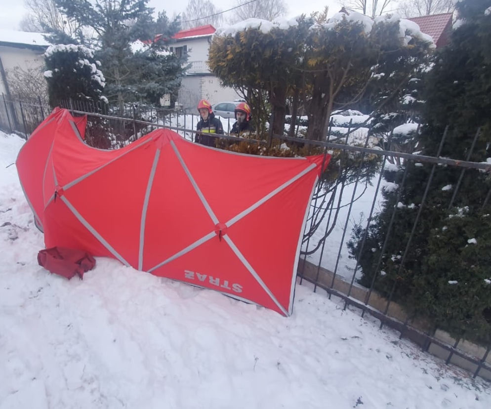 Sarna utknęła w ogrodzeniu. Uratowali ją łódzcy strażacy! [ZDJĘCIA]