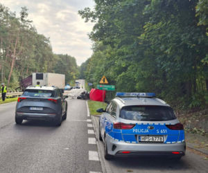 Śmiertelny wypadek w Stykowie na DK 42. Na miejscu zginął 23 letni mężczyzna