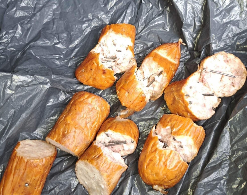 Kiełbasa z gwoździami w Czechowicach-Dziedzicach. Jest apel do właścicieli psów