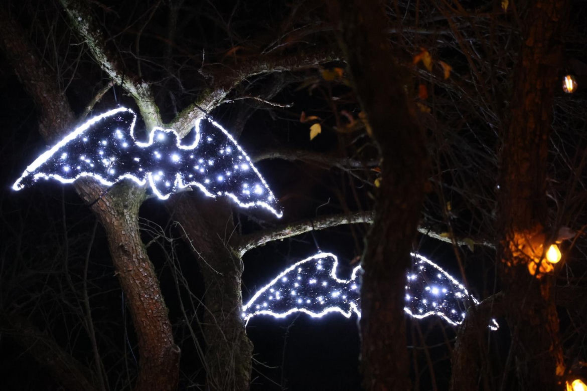 Park iluminacji 2023 w Lublinie