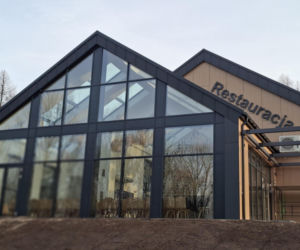 Zobacz jak zmienia się otoczenie Dębu Bartek w Zagnańsku