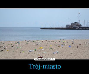Czyste Trójmiasto