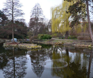 Ogród Botaniczny Uniwersytetu Wrocławskiego