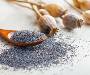 Mak – superfood z tradycją. Jakie właściwości i wartości odżywcze ma mak?