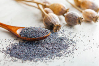 Mak – superfood z tradycją. Jakie właściwości i wartości odżywcze ma mak?