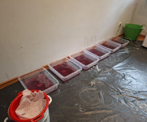 Policjanci zlikwidowali laboratorium mefedronu. Zatrzymany był poszukiwany przez Interpol