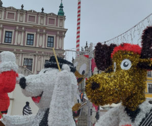 Bajkowa instalacja przed zamojski ratuszem