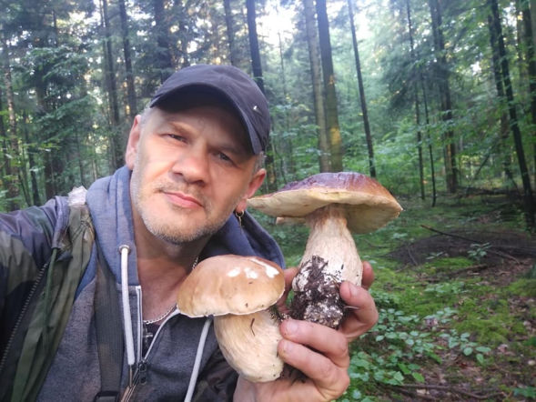 Najlepsze miejsca na grzybobranie w woj. świętokrzyskim. Grzybiarze doskonale je znają 