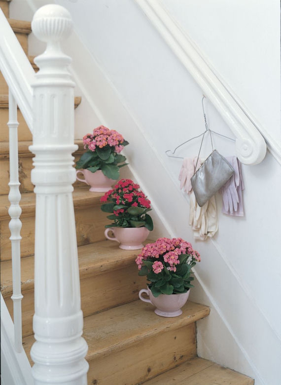 Kalanchoe na schodach
