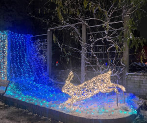 MagicznyBotaniczny 2025/2026 w Warszawie