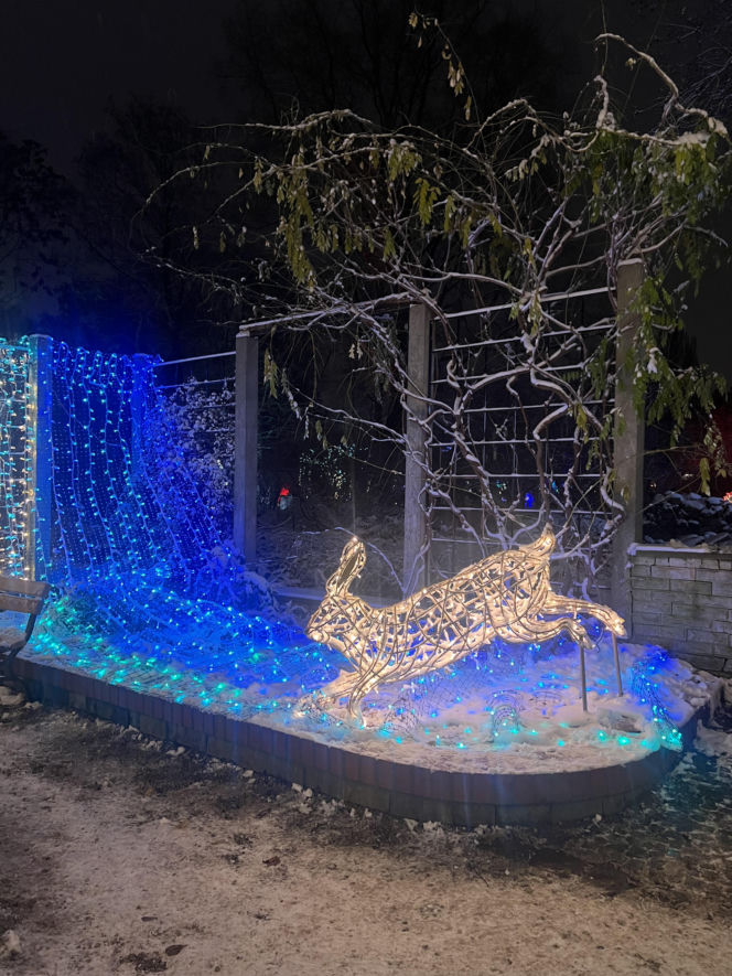 MagicznyBotaniczny 2025/2026 w Warszawie