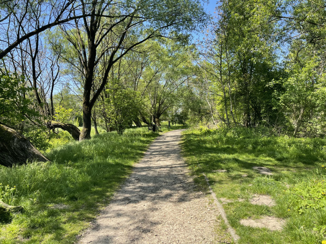Kraków ma najdłuższy park w Polsce. Poznajcie Młynówkę Królewską! 