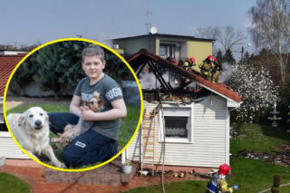 11-latek uciekał z płonącego domu i ratował psy. Od strażaków dostał odznakę