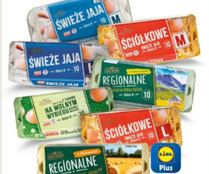 Lidl ostatni dzień promocji