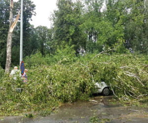 Skutki burzy w Zamościu