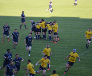 Siedlczanie wygrali półfinałowy mecz Ekstraligi Rugby! MKS Awenta Pogoń Siedlce pokonał Life Style Catering RC Arka Gdynia
