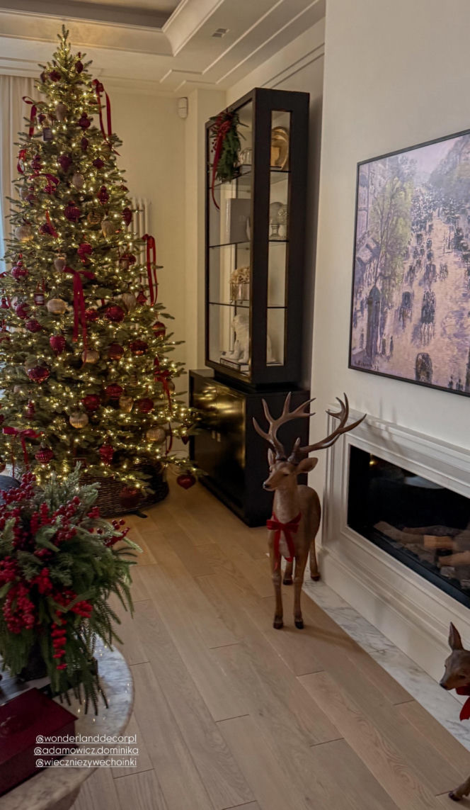 Gwiazdy wystroiły wille na święta! Przetakiewicz, Kurzopki i Rozenek wydali grube tysiące!