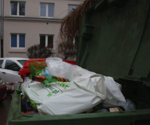 Śmieci drożeją a zalegają w śmietnikach