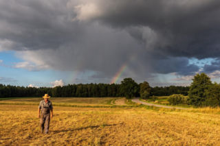 Alerty IMGW dla Polski. Burze i upały do 34 stopni