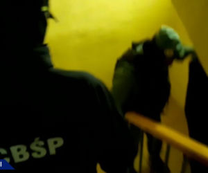 Wielka plantacja konopi zlikwidowana. Narkotyki były warte 90 mln złotych
