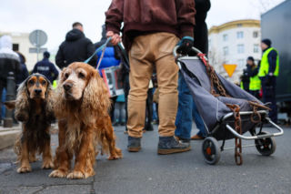 Wielki Marsz dla Zwierząt przeszedł ulicami Warszawy. Zerwijcie łańcuchy, odrzućcie weto