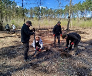 W Lesie Sekulskim rośnie już kilkaset nowych, młodych buków! Drzewa zasadzili członkowie siedleckiego samorządu i leśnicy