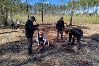 Rada Miasta Siedlce zasadziła na Sekule młody las bukowy. Zobacz zdjęcia z miejskiej akcji sadzenia!