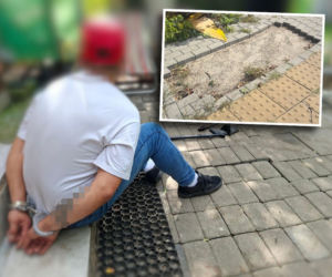 Mężczyzna ukradł miejski chodnik i wyłożył nim podwórko. Grozi mu więzienie